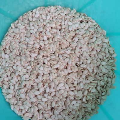 Watermelon Seeds