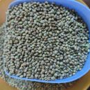 Hemp Seeds