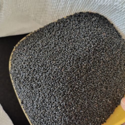 Sabja Seeds