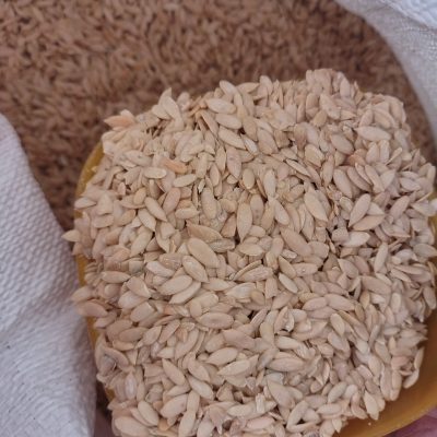 Cucumber Seeds