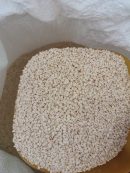 White Sesame Seeds