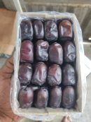 Kimia dates